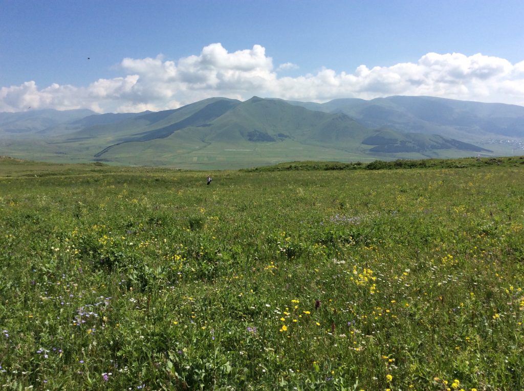 ArAGATS team on survey, 2016