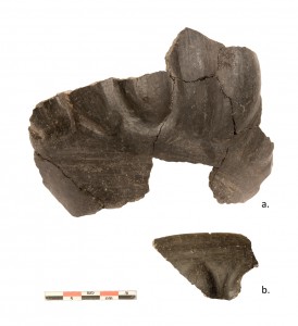 Fig. 09